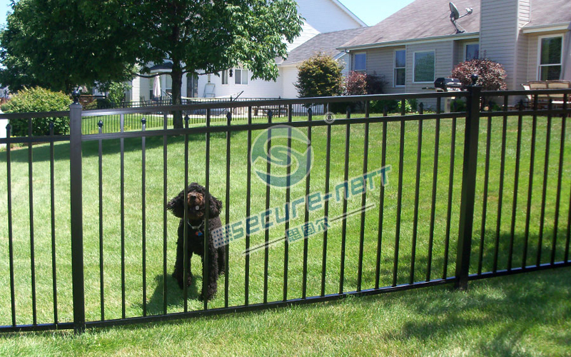 Flat Top Steel Fencing For Private Area
